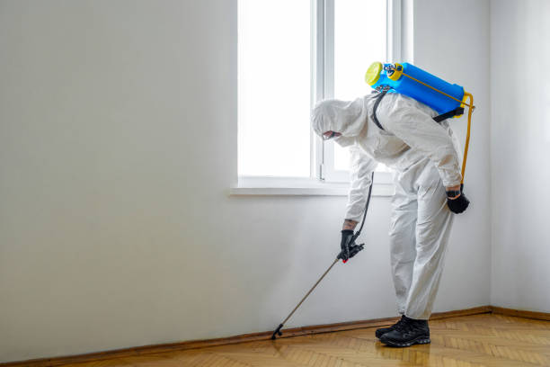 Best Mosquito Control Services  in Greenville, NC