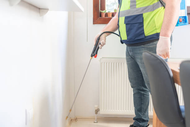 Best Termite Control Services  in Greenville, NC