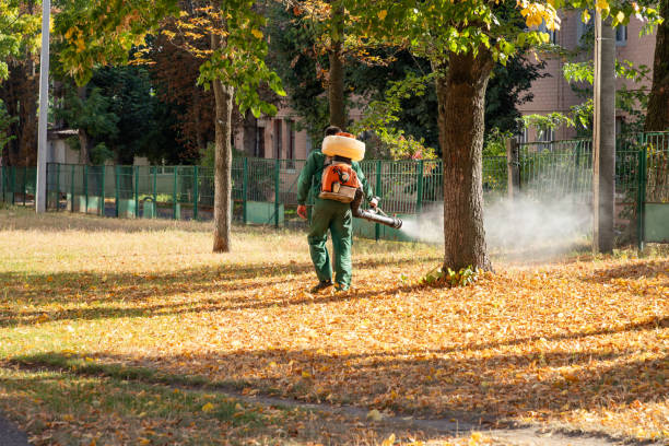 Best Bed Bug Extermination  in Greenville, NC