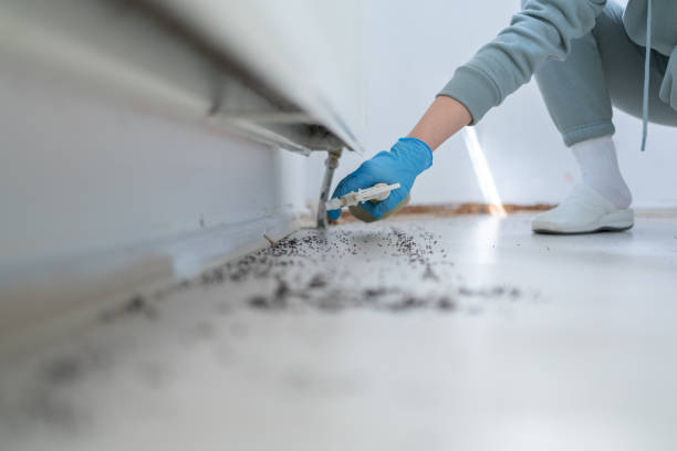 Greenville, NC Pest Control Company